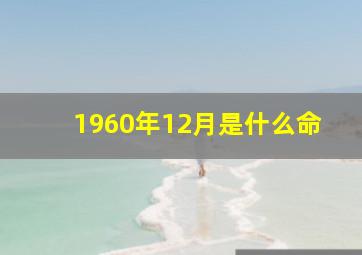 1960年12月是什么命