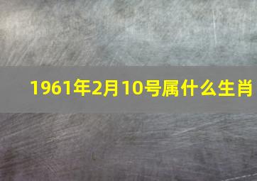 1961年2月10号属什么生肖