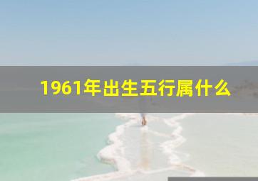 1961年出生五行属什么