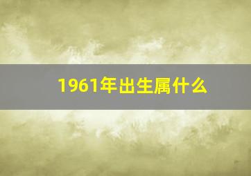 1961年出生属什么