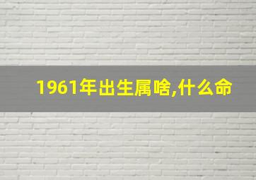 1961年出生属啥,什么命