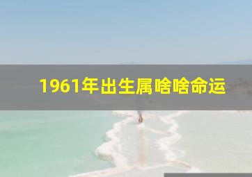 1961年出生属啥啥命运