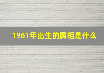 1961年出生的属相是什么