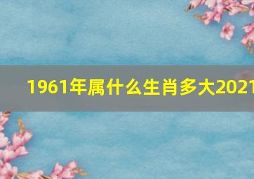 1961年属什么生肖多大2021