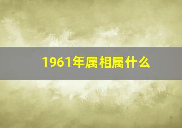 1961年属相属什么