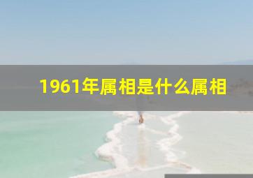 1961年属相是什么属相