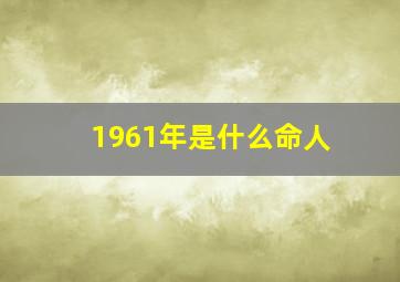 1961年是什么命人