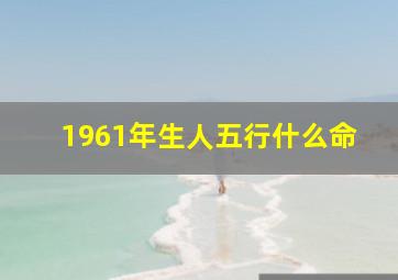 1961年生人五行什么命