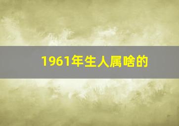 1961年生人属啥的