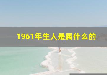 1961年生人是属什么的