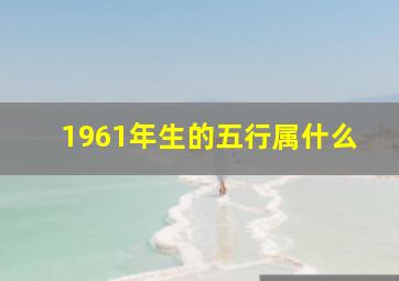 1961年生的五行属什么