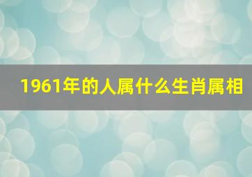 1961年的人属什么生肖属相