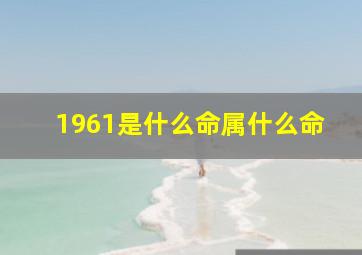 1961是什么命属什么命