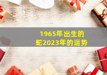 1965年出生的蛇2023年的运势