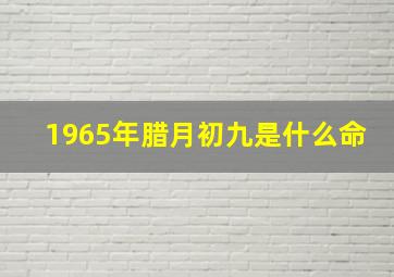 1965年腊月初九是什么命