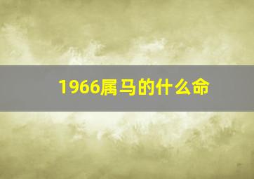 1966属马的什么命