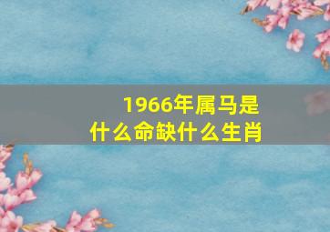 1966年属马是什么命缺什么生肖