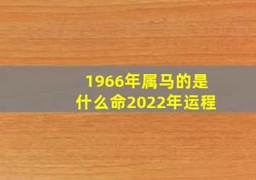 1966年属马的是什么命2022年运程