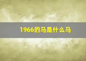 1966的马是什么马