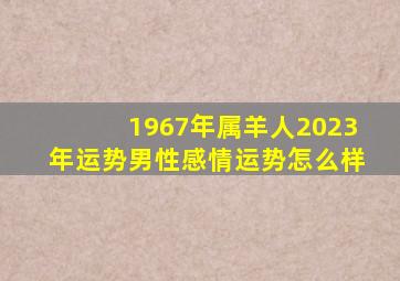 1967年属羊人2023年运势男性感情运势怎么样