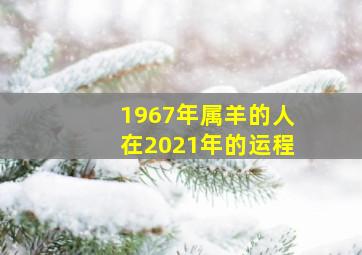 1967年属羊的人在2021年的运程