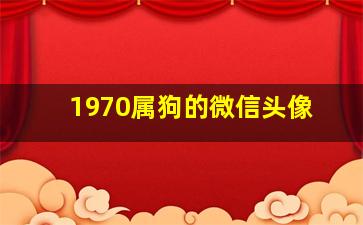 1970属狗的微信头像