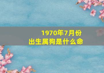 1970年7月份出生属狗是什么命