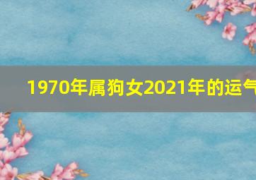 1970年属狗女2021年的运气