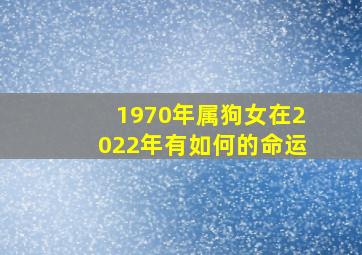 1970年属狗女在2022年有如何的命运