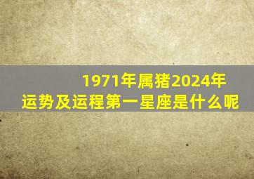 1971年属猪2024年运势及运程第一星座是什么呢