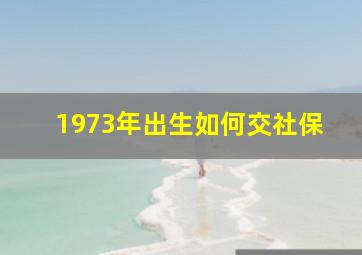 1973年出生如何交社保