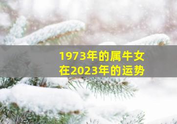 1973年的属牛女在2023年的运势