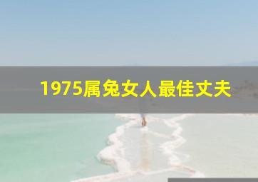 1975属兔女人最佳丈夫