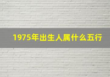 1975年出生人属什么五行