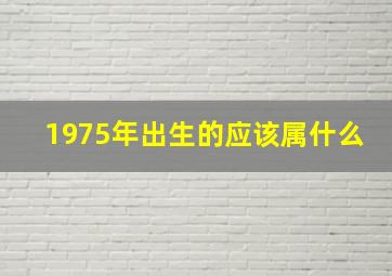 1975年出生的应该属什么