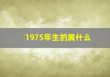 1975年生的属什么