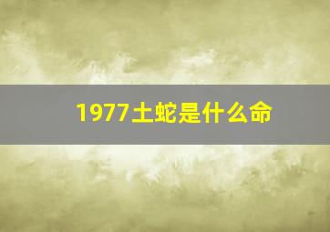 1977土蛇是什么命