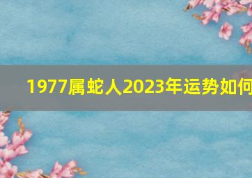 1977属蛇人2023年运势如何