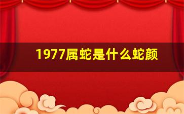 1977属蛇是什么蛇颜