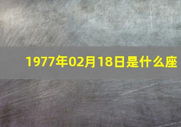 1977年02月18日是什么座