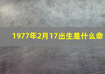 1977年2月17出生是什么命