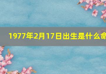 1977年2月17日出生是什么命