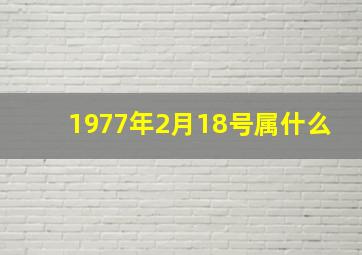 1977年2月18号属什么