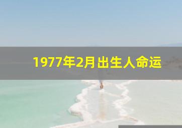 1977年2月出生人命运