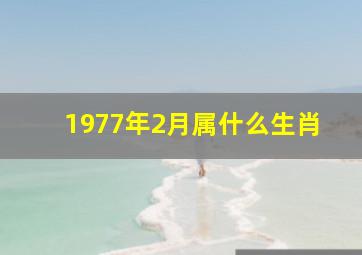 1977年2月属什么生肖