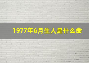 1977年6月生人是什么命