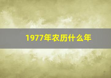 1977年农历什么年