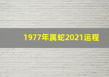 1977年属蛇2021运程