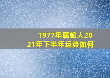 1977年属蛇人2021年下半年运势如何