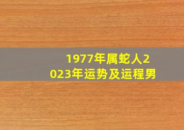 1977年属蛇人2023年运势及运程男